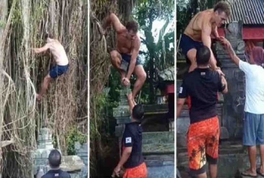 Viral Panjat Pohon Sakral, Bule Australia 'Diusir' Imigrasi Bali - GenPI.co BALI