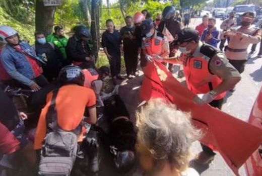Denpasar Geger! Pria Jembrana Tewas Usai Tertimpa Pohon Randu - GenPI.co BALI