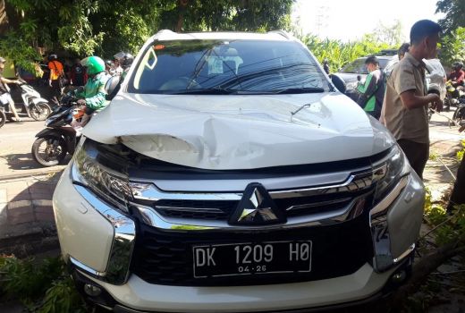 Kronologi Pria Jembrana Tewas Tertimpa Pohon Randu, Awal Santai - GenPI.co BALI