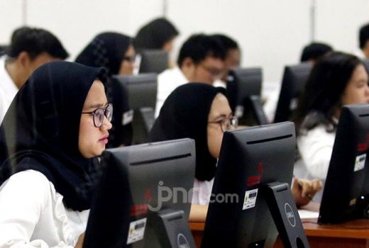 Honorer Tak Lulus PPPK? Pemprov Bali Sebut Aman Terkendali - GenPI.co BALI