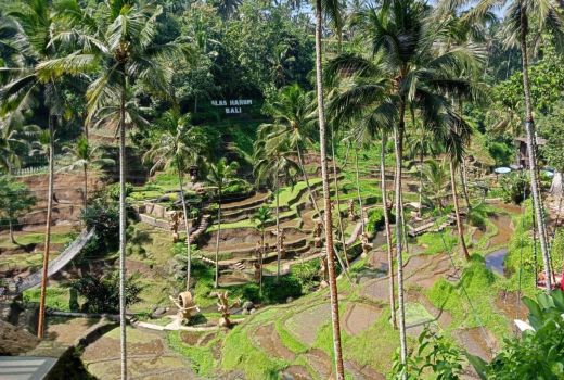 Pariwisata Bali Sukses Pancing Wisman, Ubud Kota Terbaik Asia - GenPI.co BALI