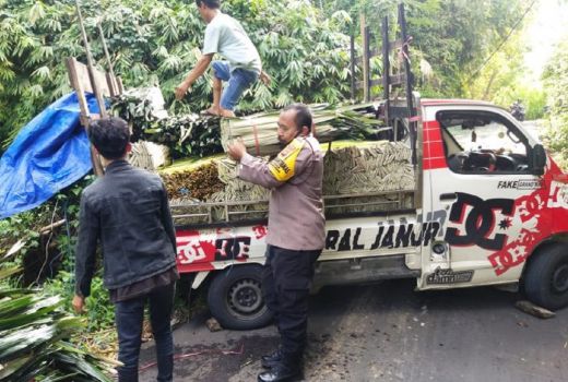 Pikap Isi Janur Nyaris Celaka Efek Google Maps, Ini Aksi Polisi - GenPI.co BALI
