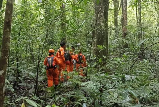 Pekak Satra Hilang di Hutan Tabanan, Tim SAR Bali Lakukan Ini - GenPI.co BALI