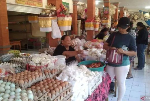 Harga Telur di Gianyar Meroket, Pedagang Ungkapkan Sebabnya - GenPI.co BALI
