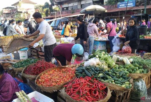 Harga Cabai Rawit di Denpasar Meroket Menjelang Galungan, Pedagang: Banyak Permintaan - GenPI.co BALI
