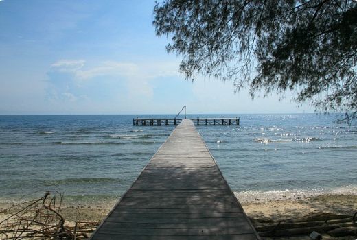 Sensasi Menyaksikan Migrasi Burung di Pulau Dua - GenPI.co BANTEN