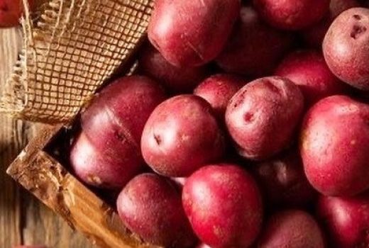 Bahaya Konsumsi Makanan Mentah, Bisa Terkontaminasi Bakteri - GenPI.co BANTEN
