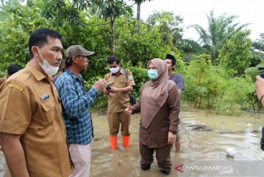 Pengungsi Kembali, BPBD Minta Warga Siaga Banjir Rob Susulan - GenPI.co BANTEN