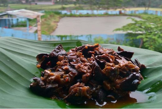 Khasiat Daging Hewan Berlendir Ini Ternyata Mantap, Wajib Coba! - GenPI.co BANTEN