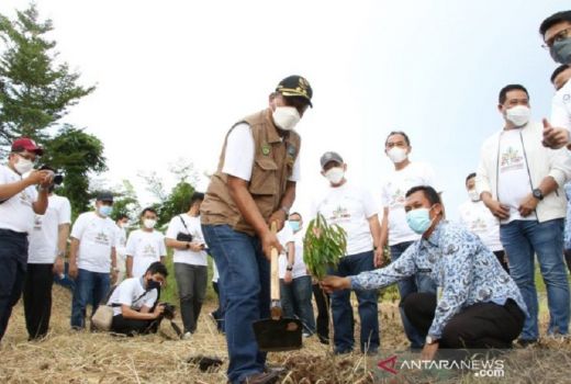 Tanam 440 Bibit dan Sebar 4.400 Ikan, SP BPJSTK Diapresiasi Wabup - GenPI.co BANTEN
