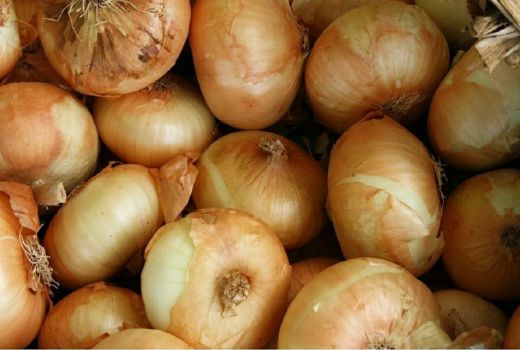 3 Manfaat Bawang Bombay untuk Kesehatan, Manjur Banget - GenPI.co BANTEN