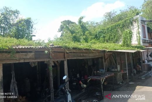 Pedagang Rangkasbitung Diteror Ular Kobra, Ukurannya Gede - GenPI.co BANTEN