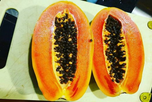 Siapa Sangka Manfaat Biji Buah Pepaya Ternyata Mantap, Wajib Coba - GenPI.co BANTEN