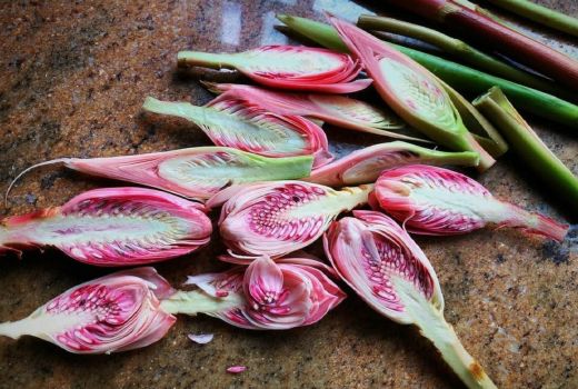Ternyata Manfaat Kecombrang Luar Biasa, Penyakit Serius Rontok - GenPI.co BANTEN