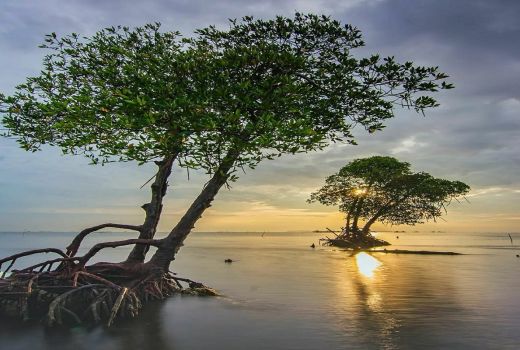 Mengabadikan Keindahan Senja di Pantai Muara Kecil, Berangkat Kuy - GenPI.co BANTEN