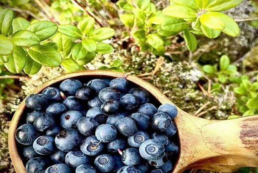 Wah, Manfaat Buah Ini Bikin Matamu Tajam di Malam Hari - GenPI.co BANTEN