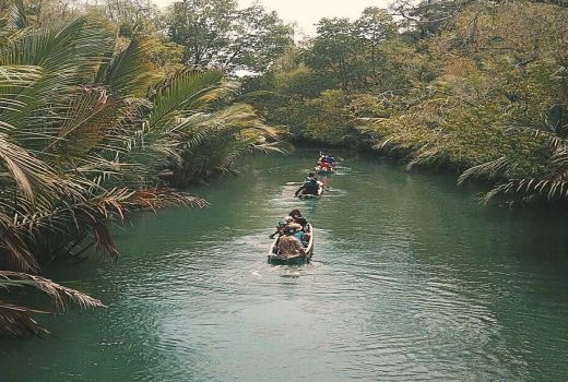 Mencari Badak Bercula Satu dari Atas Kano di Pulau Handeuleum - GenPI.co BANTEN