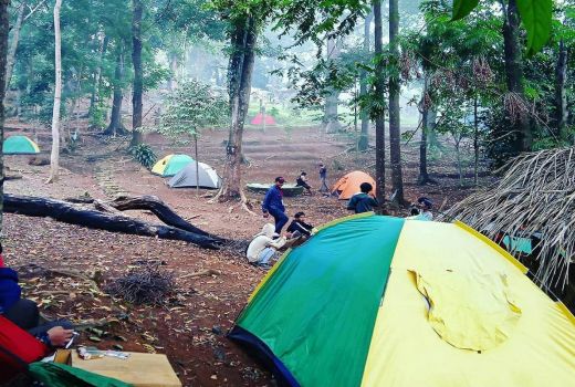 Mencari Udara Segar Sambil Jalan-jalan di Tahura Pandeglang - GenPI.co BANTEN