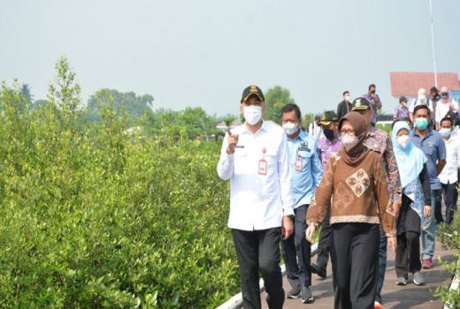 Ketapang Aquaculture Sukses Besar, Bupati Zaki Banjir Pujian - GenPI.co BANTEN