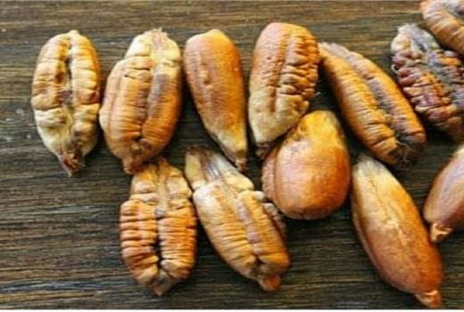 Cara Mengolah Biji Kurma Jadi Minuman Kesehatan, Gampang Banget - GenPI.co BANTEN