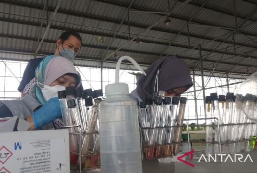 Waduh, BPOM Serang Temukan 2 Makanan Mengandung Kimia Berbahaya - GenPI.co BANTEN