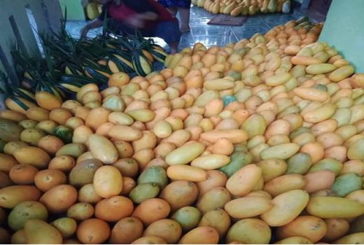 5 Manfaat Timun Suri Bagi Kesehatan, Jangan Lewatkan - GenPI.co BANTEN