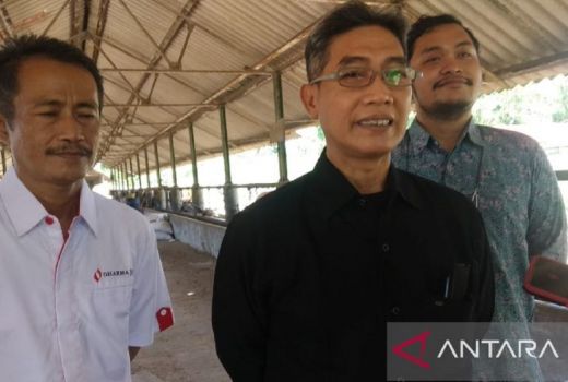 Tanpa Surat Sehat, Hewan Ternak Dilarang Masuk ke Kota Serang - GenPI.co BANTEN