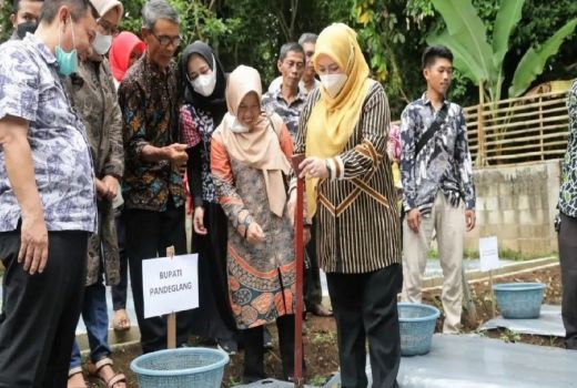 Begini Sistem Bagi Hasil Pertanian Porang di Kabupaten Pandeglang - GenPI.co BANTEN