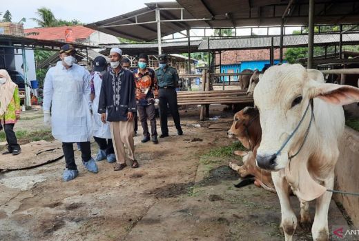 MUI Kabupaten Tangerang Imbau Warga Hati-hati Pilih Hewan Ternak - GenPI.co BANTEN