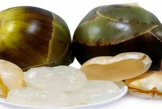 4 Manfaat Buah Lontar untuk Kesehatan Tubuh, Turunkan Berat Badan - GenPI.co BANTEN