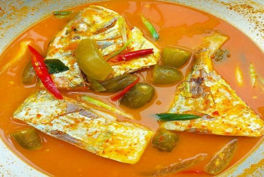 Jarang Orang Tahu, Berikut 4 Manfaat Kesehatan Makan Ikan Patin - GenPI.co BANTEN