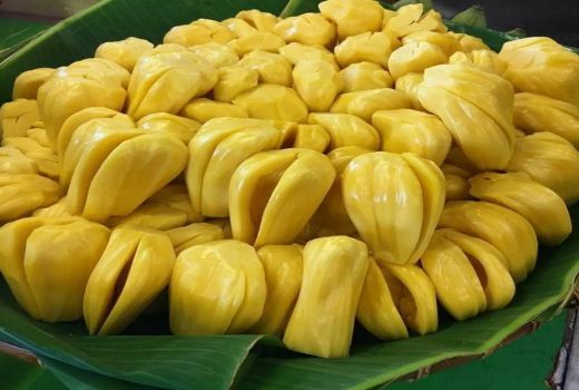 Wajib Tahu, Ternyata 6 Buah Ini Mengandung Banyak Protein - GenPI.co BANTEN