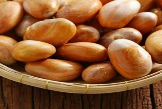 5 Manfaat Luar Biasa Biji Nangka, Cegah Kebotakan Rambut - GenPI.co BANTEN