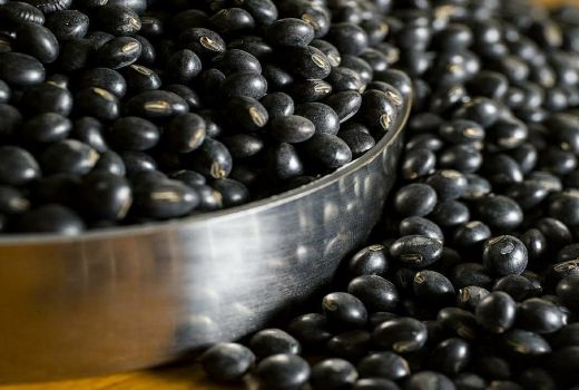 5 Manfaat Kedelai Hitam untuk Kesehatan, Penyakit Serius Kabur - GenPI.co BANTEN