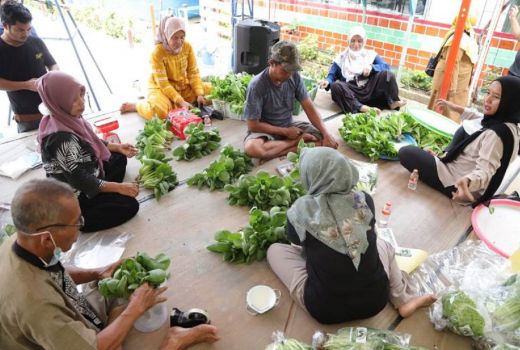 Mantap! KWT Kampung Jimpitan KB2 Panen Sayur Hidroponik - GenPI.co BANTEN