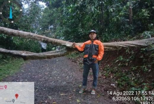 BPBD Lebak Evakuasi Pohon Tumbang di Warunggunung, Lebak - GenPI.co BANTEN