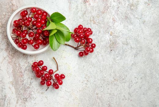 5 Manfaat Jus Cranberry untuk Kesehatan Tubuh, Wajib Coba - GenPI.co BANTEN