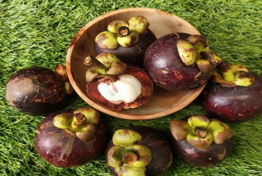 4 Manfaat Kulit Manggis Mengatasi Diabetes, Ternyata Luar Biasa - GenPI.co BANTEN