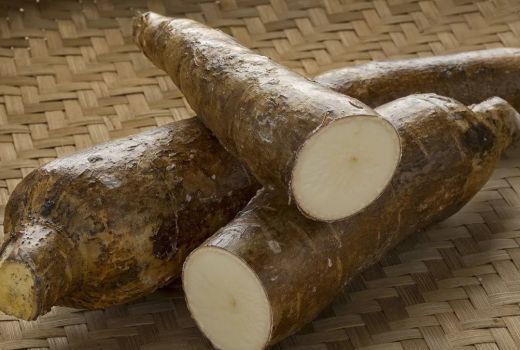3 Bahaya Makan Singkong Mentah, Bisa Sebabkan Kematian - GenPI.co BANTEN