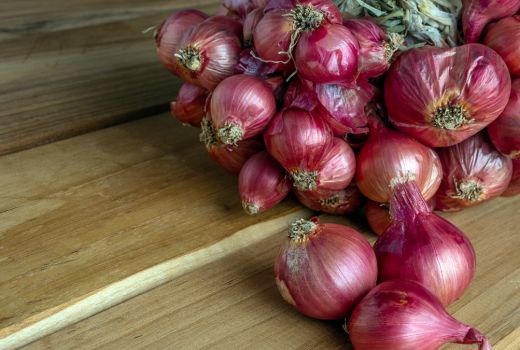 Manfaat Dahsyat Bawang Merah untuk Payudara, Wanita Pasti Demen! - GenPI.co BANTEN