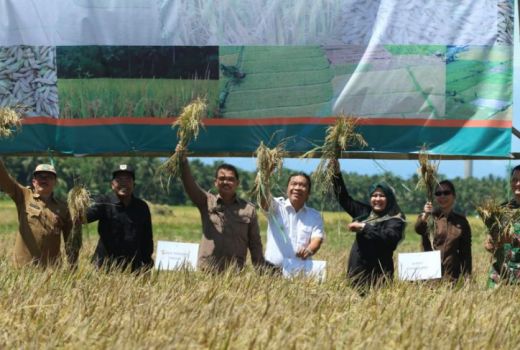 Pemprov Banten: Cadangan Pangan Aman Hingga Akhir Tahun - GenPI.co BANTEN