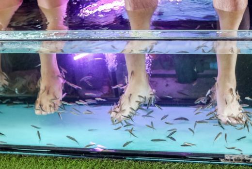Meski Menggelitik, Terapi Ikan Punya 5 Manfaat untuk Kesehatan - GenPI.co BANTEN