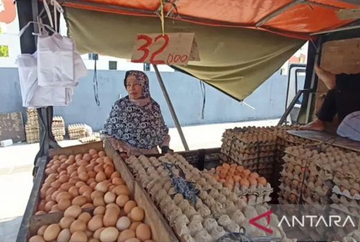Harga Telur Ayam di Kota Cilegon Naik Jadi Rp 34 Ribu Per Kilogram - GenPI.co BANTEN