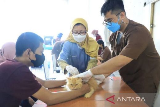 BPBD Kota Tangerang Siapkan Tim Khusus Tangani Rabies - GenPI.co BANTEN