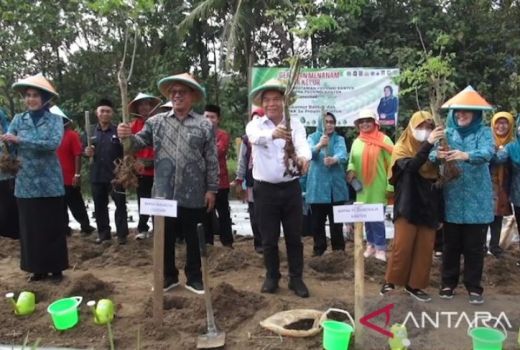 Pemprov Banten Luncurkan Gerakan Tanam Sejuta Pohon Kelor - GenPI.co BANTEN