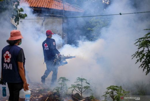 Ada Kasus Chikungunya, Warga Tangerang Diminta Waspada - GenPI.co BANTEN