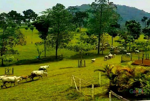 Kuy, Perkaya Stok Foto Instagramable di Bukit Waruwangi - GenPI.co BANTEN