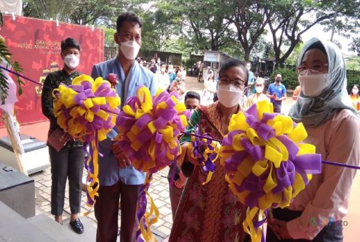 Pemkot Gandeng Petvet, Sterilkan Hewan Liar di Tangsel - GenPI.co BANTEN