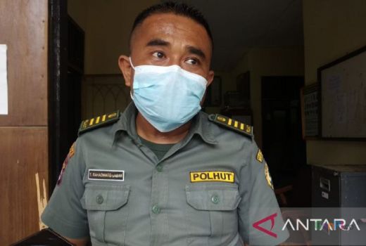 Terima 3 Ular dan Lutung dari Warga, Kepala BKSDA Peringatkan Ini - GenPI.co BANTEN