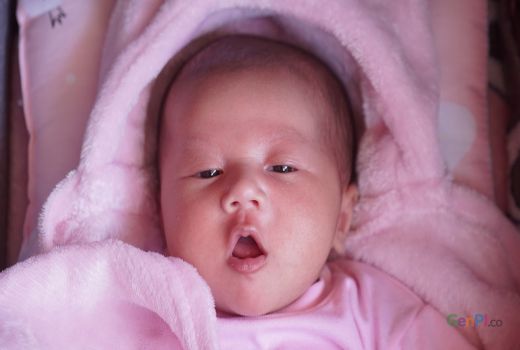 Ternyata Hati Ayam Baik untuk Bayi, Mom Wajib Coba - GenPI.co BANTEN